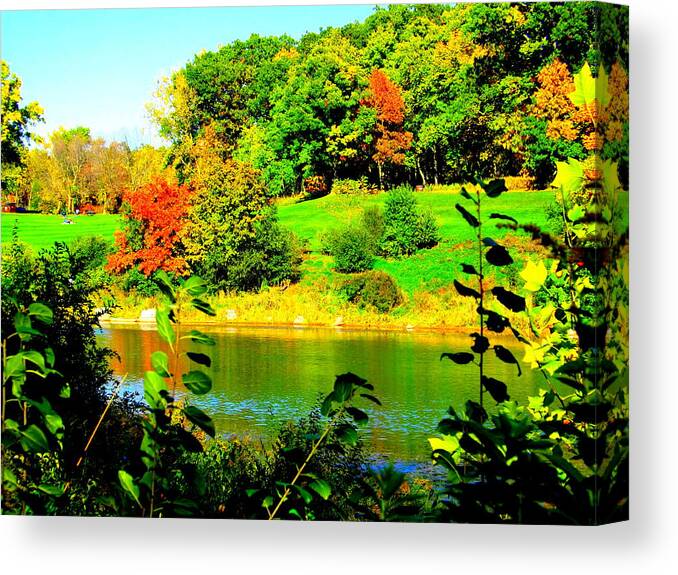 Across The Pond Canvas Print featuring the photograph Across the Pond by Darren Robinson