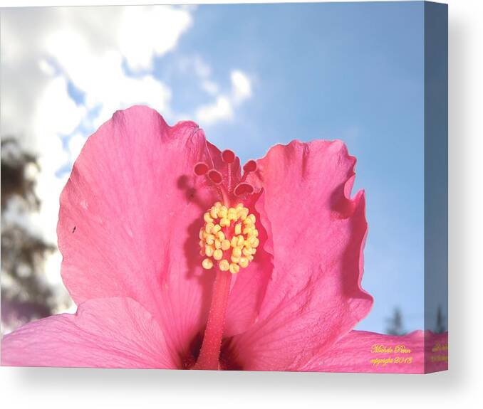 Flower Photograph Canvas Print featuring the photograph Blissful 33 by Michele Penn