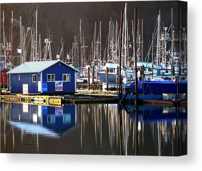 Fishing Canvas Print featuring the photograph Anchovies for Sale by Pamela Patch