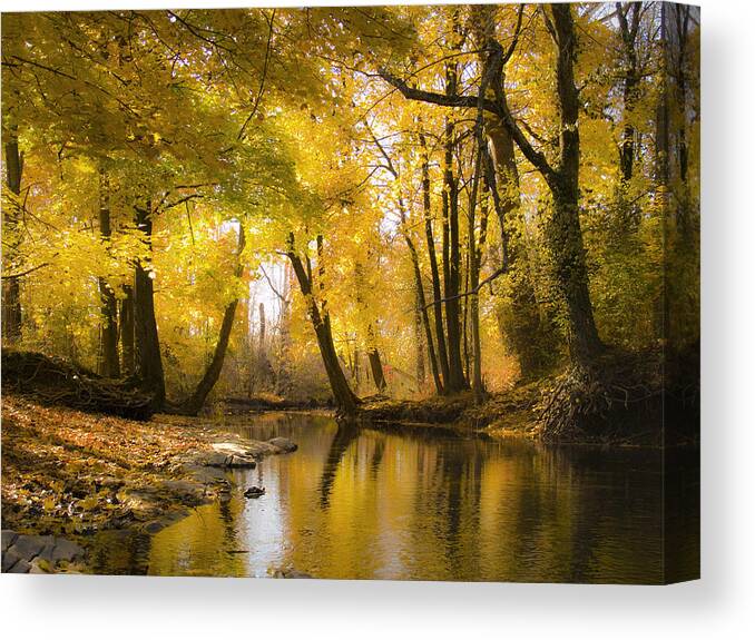 Antietam Canvas Print featuring the photograph Antietam Gold by Andy Smetzer