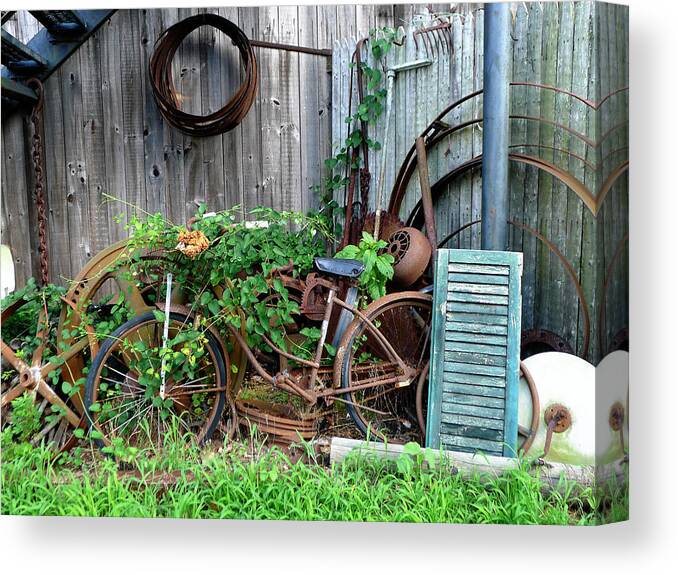 Rust Canvas Print featuring the photograph Any Old Iron by Richard Reeve