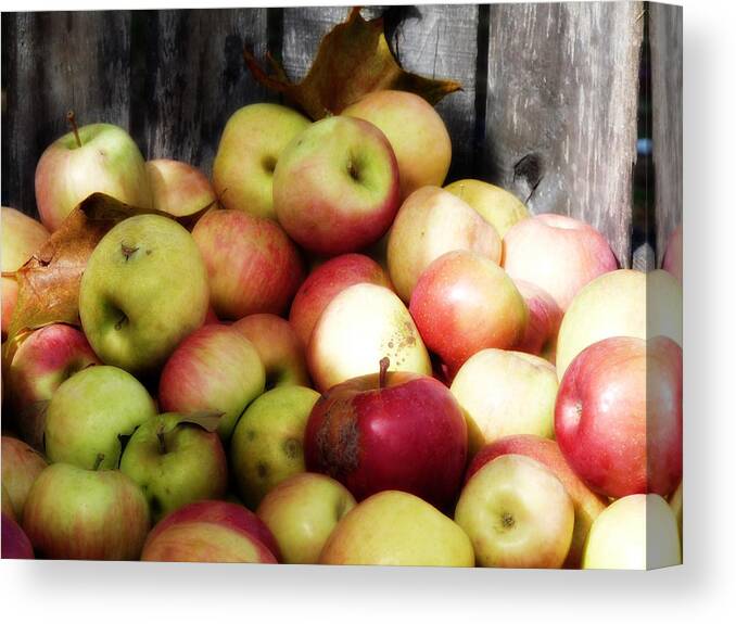Apples Canvas Print featuring the photograph Apple Crate by Terry Eve Tanner