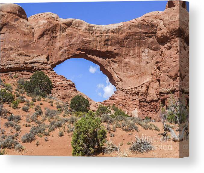 Arches Canvas Print featuring the photograph Arches in the Distance-2 by Elizabeth M