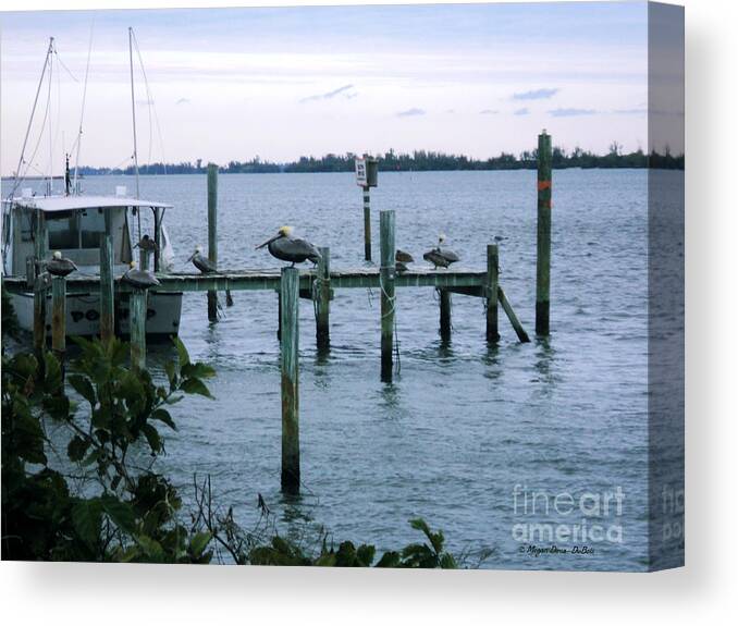 Birds Canvas Print featuring the photograph At Day's End by Megan Dirsa-DuBois