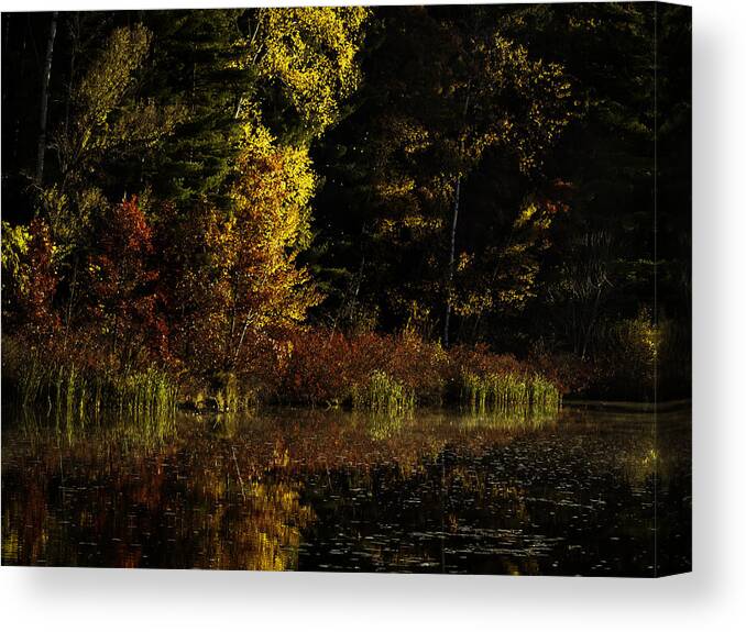 Autumn Canvas Print featuring the photograph Autumn At It's Finest by Thomas Young