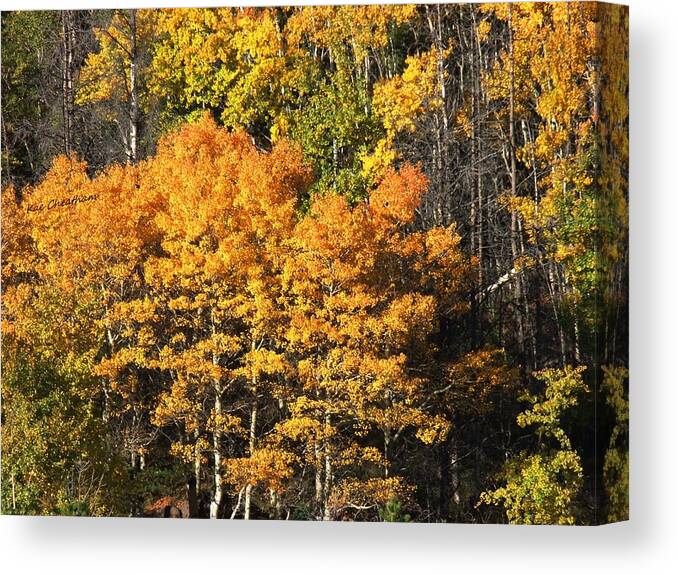 Fall Colors Canvas Print featuring the photograph Autumn Color at the Continental Divide by Kae Cheatham