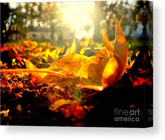 Leaf Canvas Print featuring the photograph Autumn glory by Jasmine Mogdam