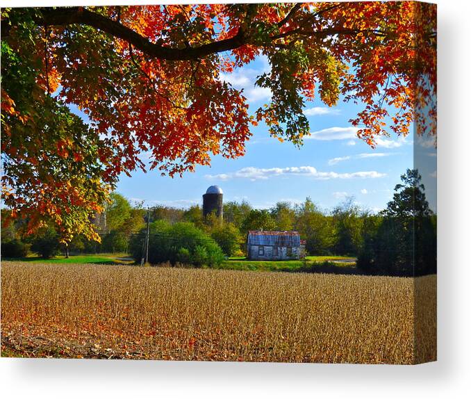 Farm Canvas Print featuring the photograph Autumn on the Farm by Jean Wright