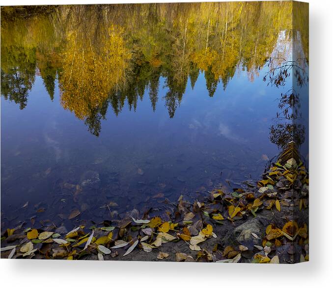 Loree Johnson Canvas Print featuring the photograph Autumn Reflections by Loree Johnson