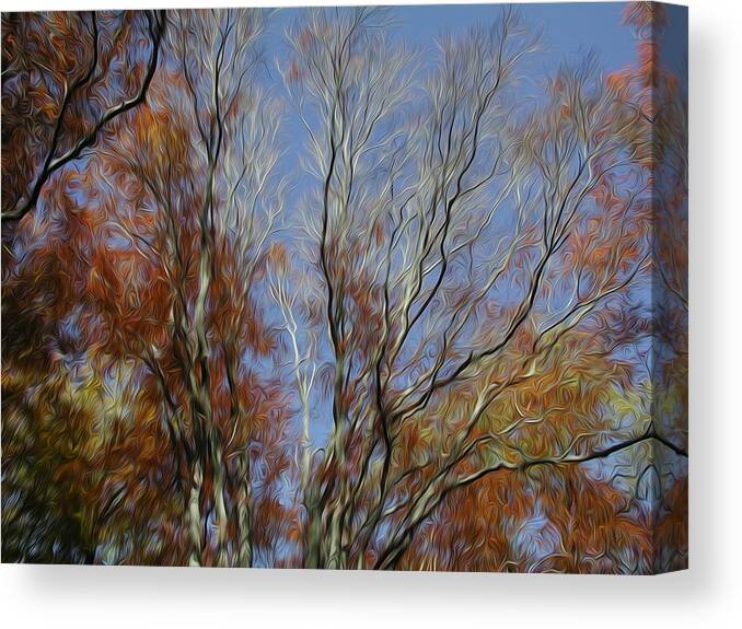 Tree Canvas Print featuring the digital art Autumn Sky by Kelvin Booker