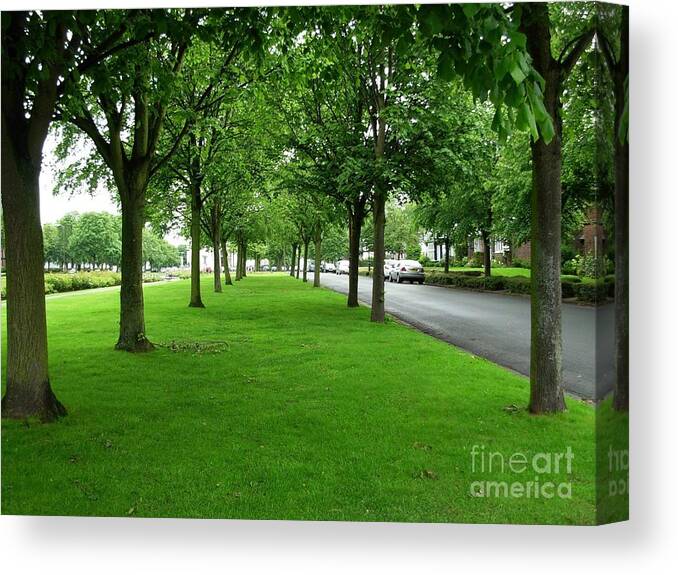 Trees Canvas Print featuring the photograph Avenue of Trees at Port Sunlight by Joan-Violet Stretch
