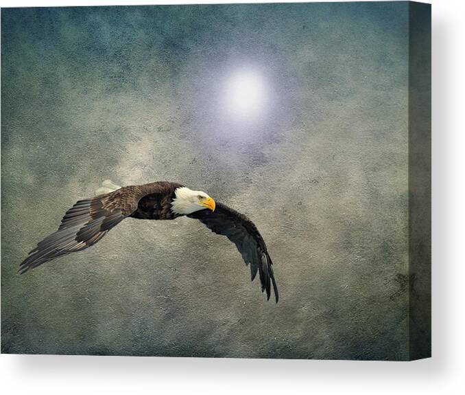 Eagle Canvas Print featuring the photograph Bald Eagle Textured Art by David Dehner