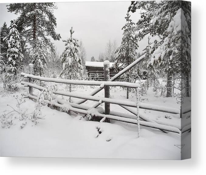 Finland Canvas Print featuring the photograph Barn in Seitseminen winter by Jouko Lehto