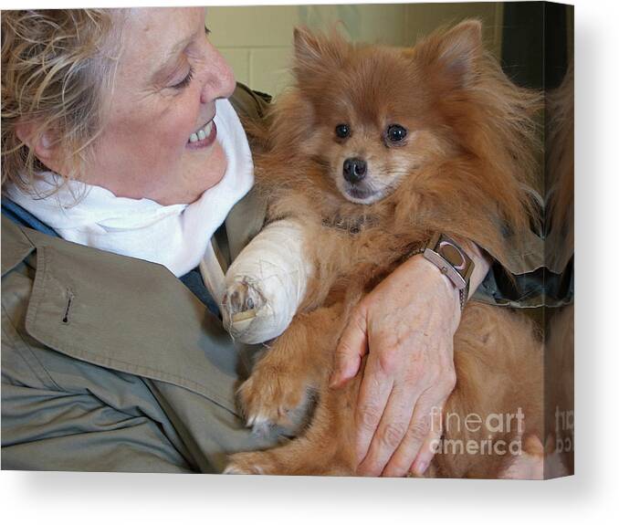 Dog Canvas Print featuring the photograph Be Better Soon by Ann Horn