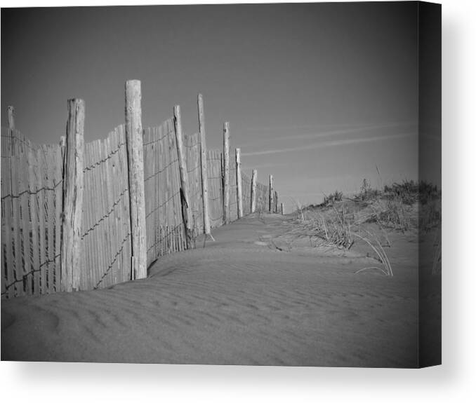 Beach Canvas Print featuring the photograph Beach Fence by Andy Smetzer