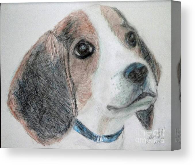 Animal Canvas Print featuring the drawing Beagle by Lyric Lucas