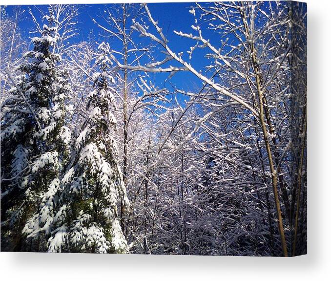 Winter Canvas Print featuring the photograph Beck Shore majesty by Pat Purdy