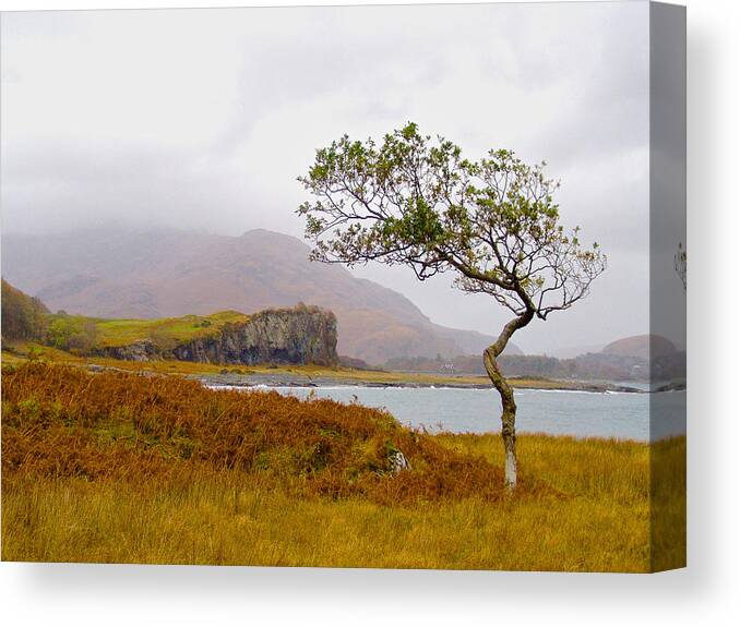 Landscape Canvas Print featuring the photograph Bent Tree on Mull by Mark Egerton