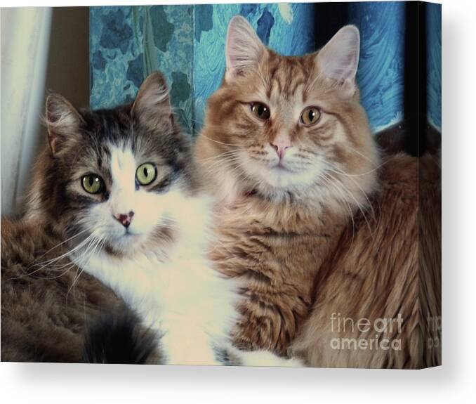 Illinois Canvas Print featuring the photograph Best Friends by Deborah Smolinske