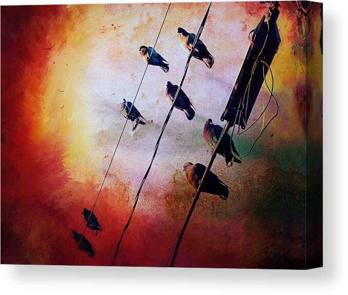 Birds On A Wire Canvas Print featuring the photograph Birds On A Wire by Micki Findlay