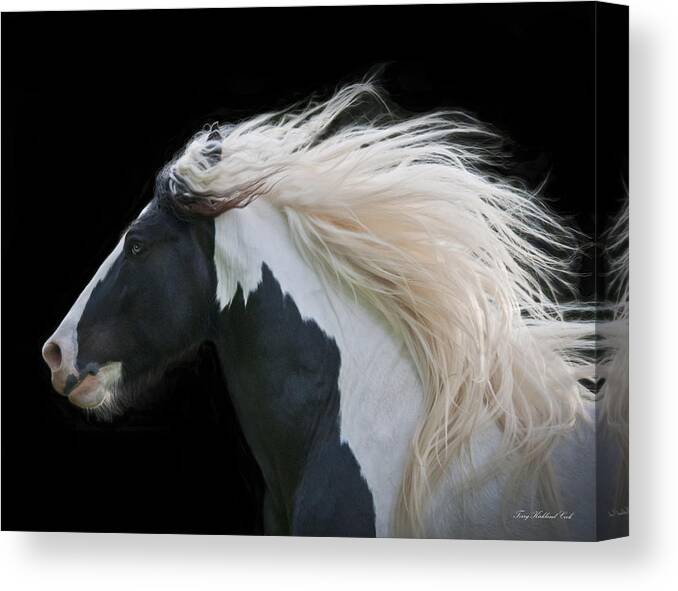 Equine Canvas Print featuring the photograph Black and White Study III by Terry Kirkland Cook