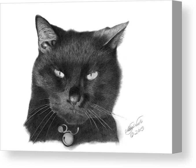 Black Cat Drawings Canvas Print featuring the drawing Black Cat - 008 by Abbey Noelle