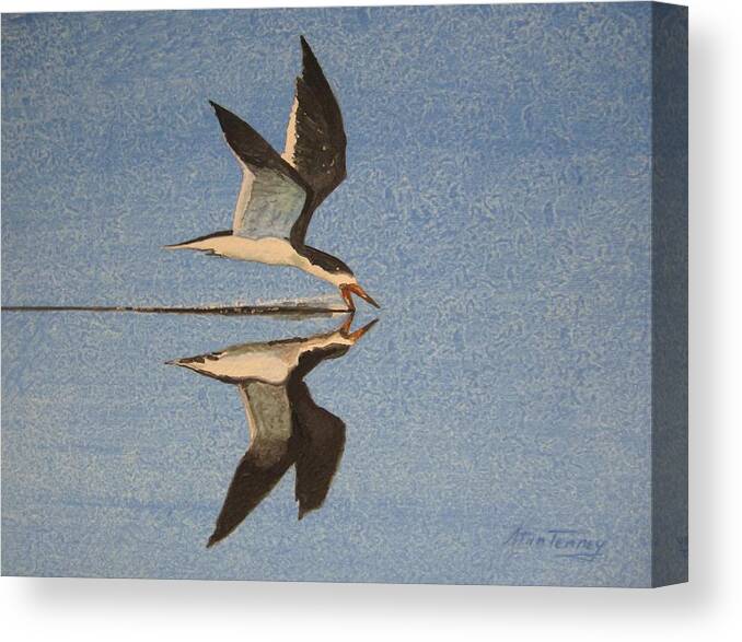 Skimmer Canvas Print featuring the painting Black Skimmer by Stan Tenney