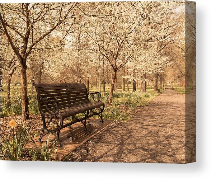 Tower Grove Park Canvas Print featuring the photograph Blossoms by Scott Rackers
