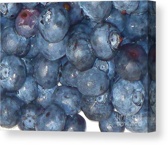 Blueberries Canvas Print featuring the photograph Blueberries by Robert Birkenes
