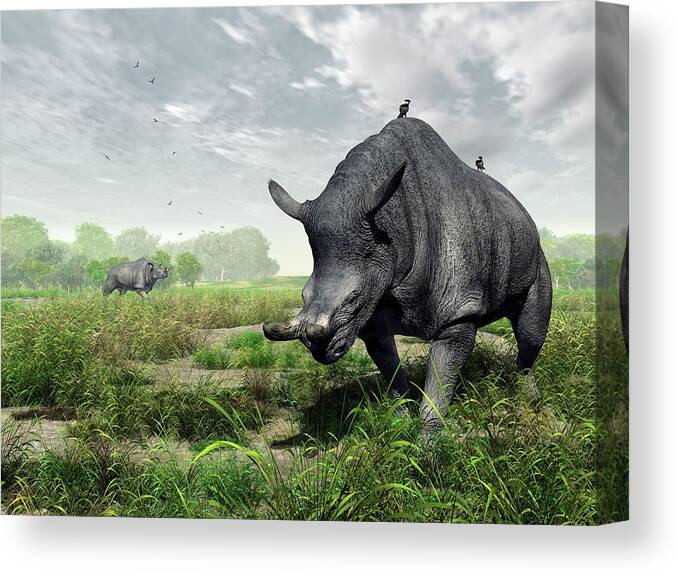 Brontotherium Sp. Canvas Print featuring the photograph Brontotherium by Walter Myers