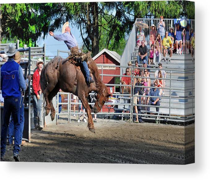 Cowboy Canvas Print featuring the photograph Bucking Bronco Haven by Gary Keesler