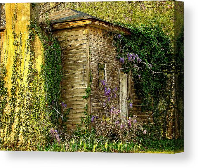 Fine Art Canvas Print featuring the photograph Cabin in the Back by Rodney Lee Williams