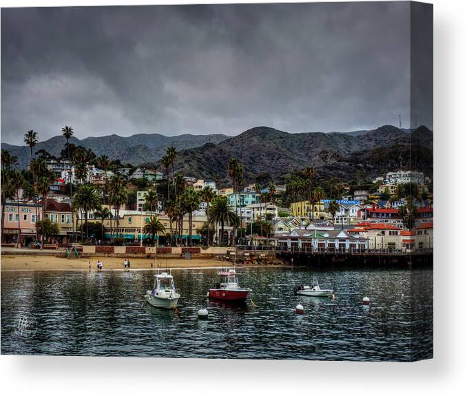 Catalina Island Canvas Print featuring the photograph California - Catalina Island 004 by Lance Vaughn