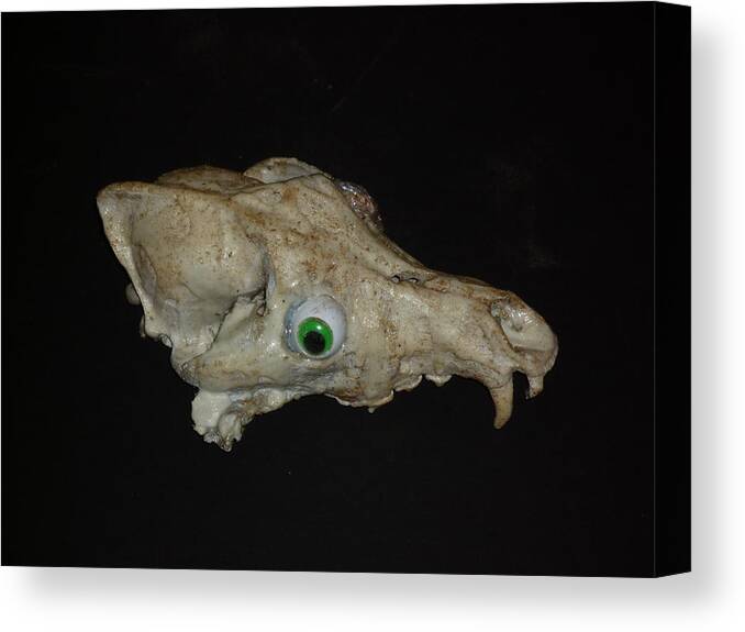 Skull Canvas Print featuring the sculpture Canine FunkaSaurus by Douglas Fromm