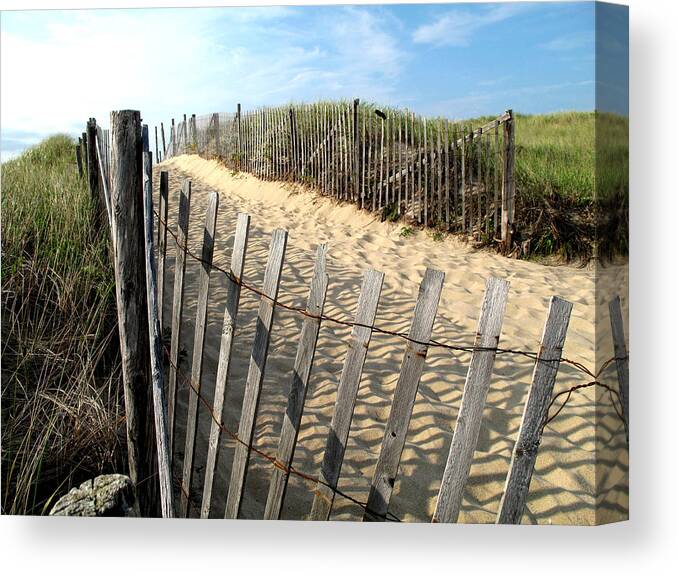 Dunes Canvas Print featuring the photograph Cape Cod Dune Fencing by Barbara McDevitt