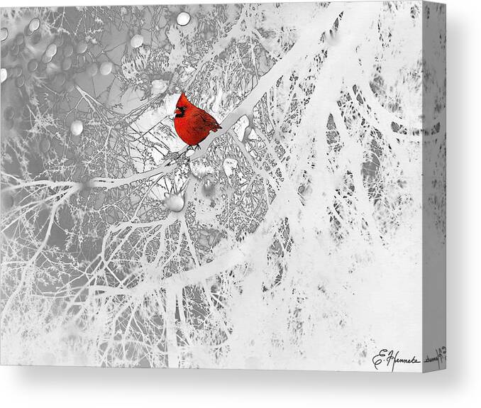 Cardinal In Winter Canvas Print featuring the drawing Cardinal In Winter by Ellen Henneke