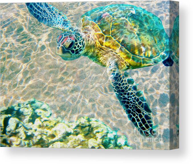 Caribbean Sea Turtle Canvas Print featuring the mixed media Beautiful Sea Turtle by Jon Neidert