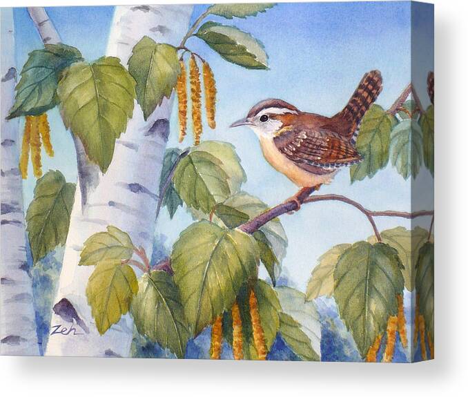 Carolina Wren Painting Canvas Print featuring the painting Carolina Wren in a Birch Tree by Janet Zeh