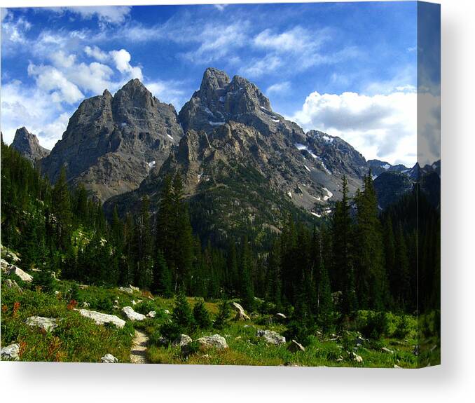 The Cathedral Group Canvas Print featuring the photograph Cathedral Group from the Northwest by Raymond Salani III