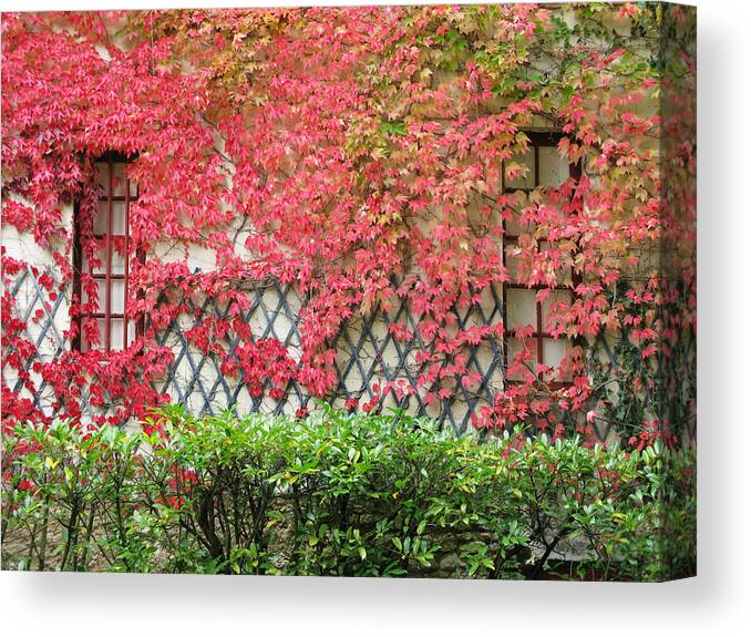 Fall Leaves Canvas Print featuring the photograph Chateau Chenonceau Vines on Wall Image One by Randi Kuhne