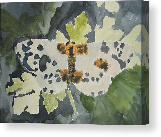 Clouded Magpie Canvas Print featuring the painting Clouded Magpie Watercolor On Paper by William Sahir House