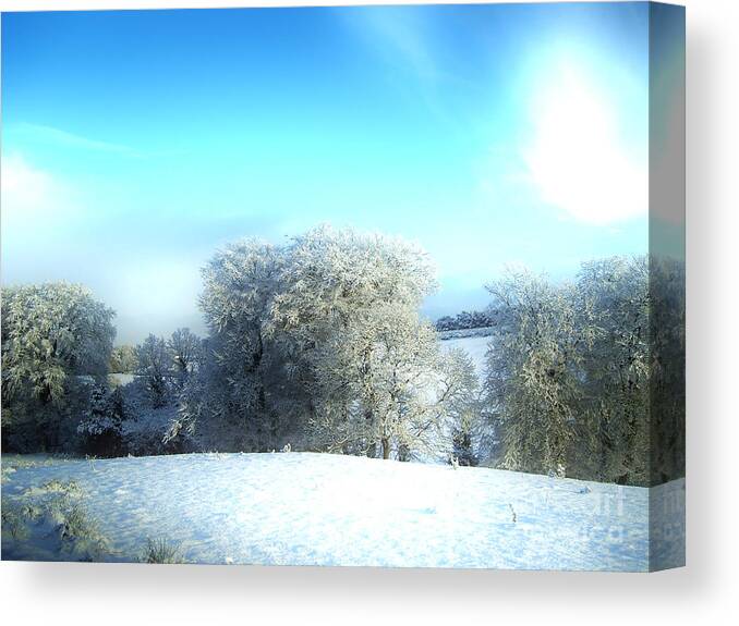 Winter Canvas Print featuring the photograph Cold Blue by Nina Ficur Feenan