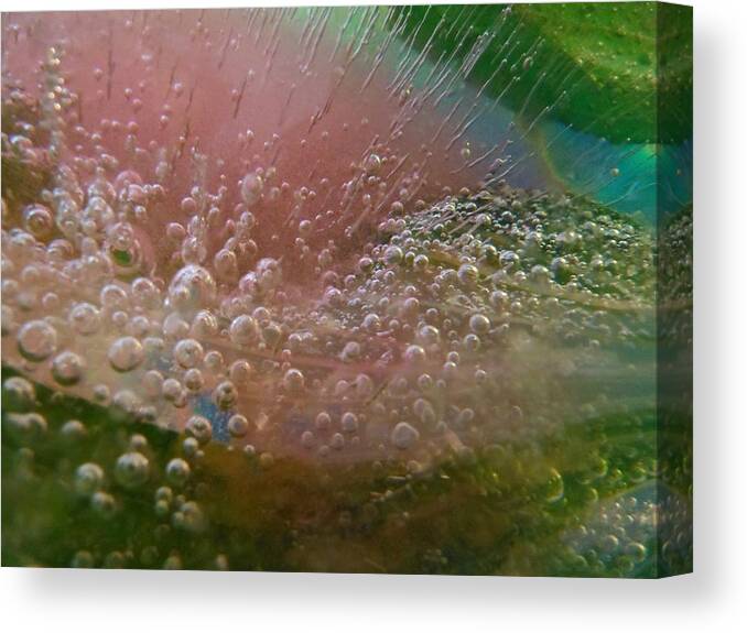 Color In Ice Series Canvas Print featuring the photograph Color In Ice Series 160 by Paddy Shaffer