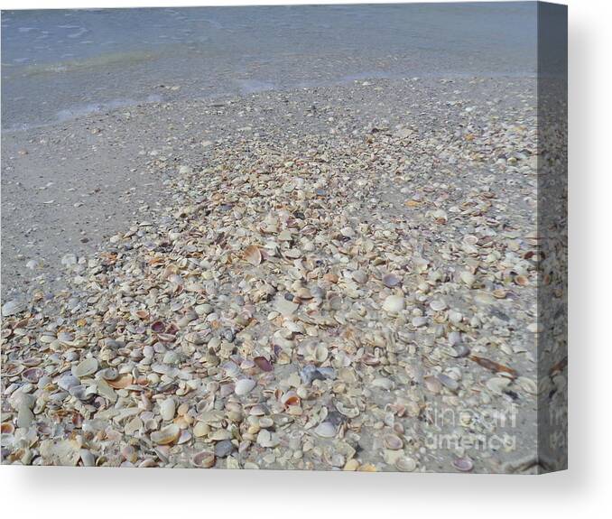 Sea Shells Canvas Print featuring the photograph Colorful Shells at the Water's Edge by Jeanne Forsythe