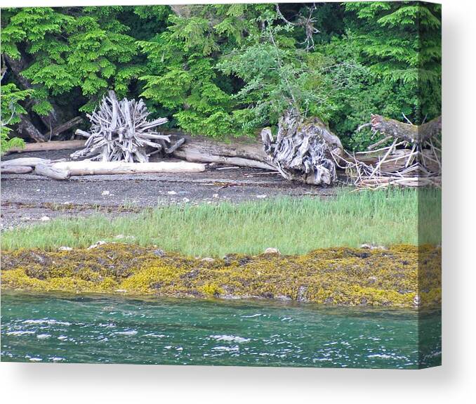 Landscape Canvas Print featuring the photograph Colors of Alaska - Layers of Greens by Natalie Rotman Cote