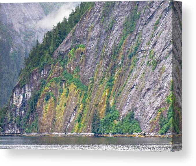 Landscape Canvas Print featuring the photograph Colors of Alaska - Misty Fjords by Natalie Rotman Cote