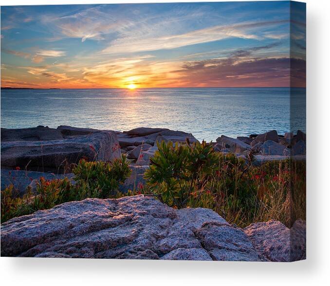 Acadia Canvas Print featuring the photograph Colors of Sunrise by Darylann Leonard Photography