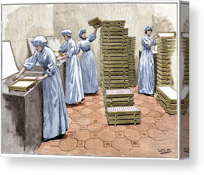 Factory Canvas Print featuring the photograph Confectionery Manufacture by Sheila Terry/science Photo Library