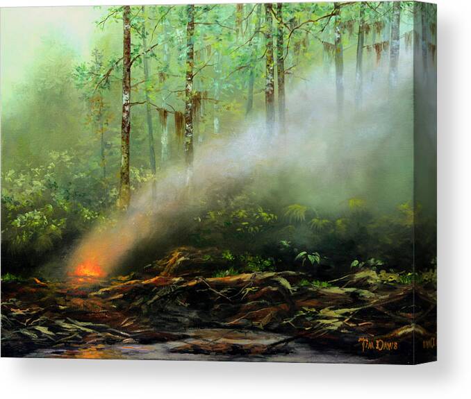 Fire Canvas Print featuring the painting Controlled Burn by Tim Davis