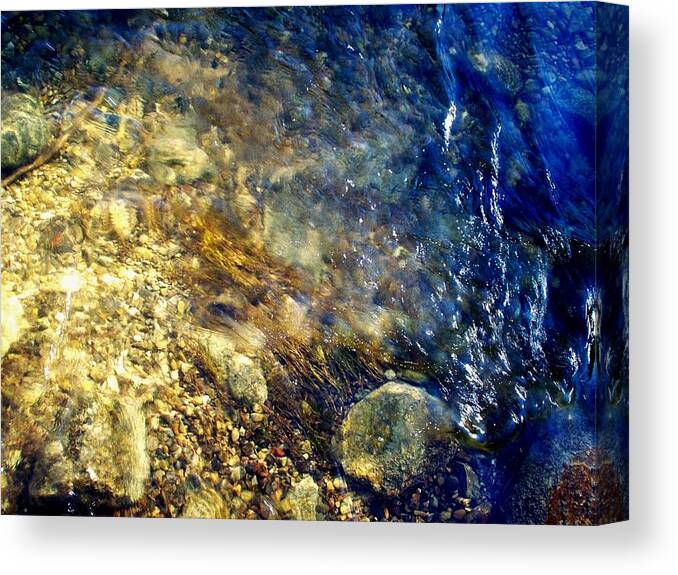 Rifle River Canvas Print featuring the photograph Cool Waters...of The Rifle River by Daniel Thompson